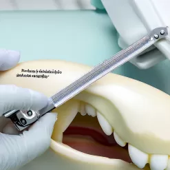 Tips for Accurate Measurement with Dental Rulers