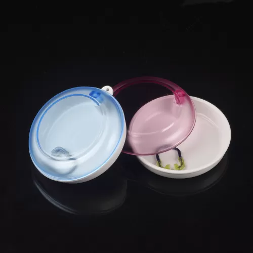 Denture Box(rotate)