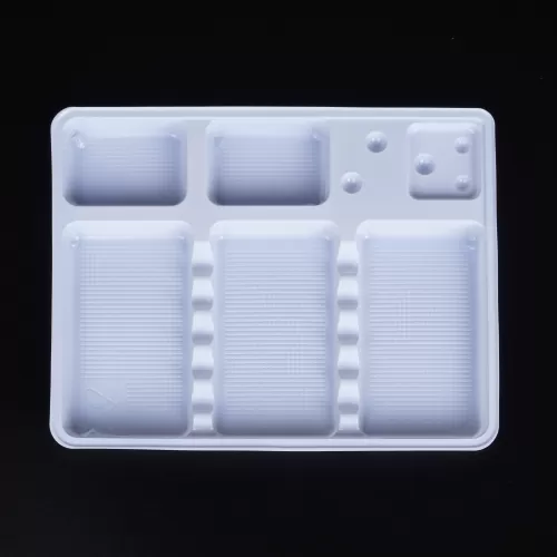 Disposable Plastic Tray