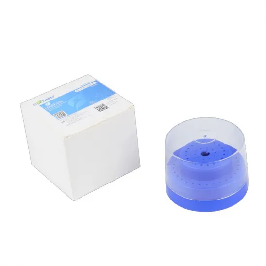 Bur Holder Box
