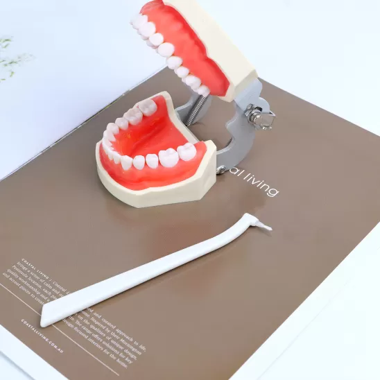 Brush Holder