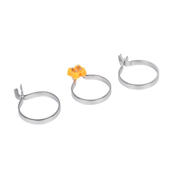 Clamping Ring(Ordinary)