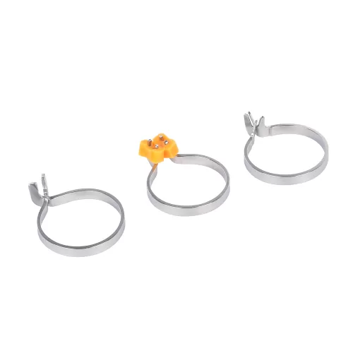 Clamping Ring(Ordinary)