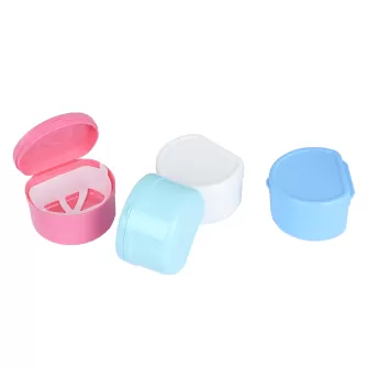 Denture Box(inner net)