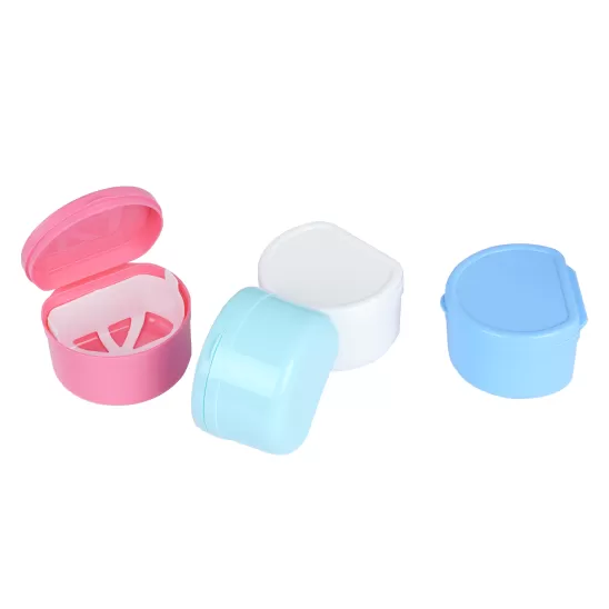 Denture Box(inner net)