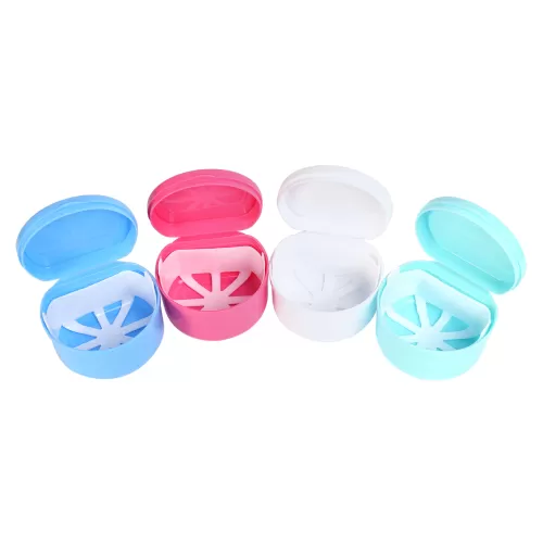Denture Box(inner net)