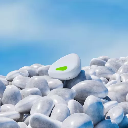 Invisible Braces Box(pebble)