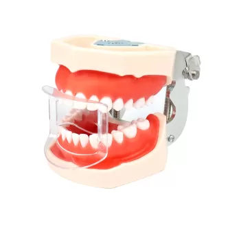 Dental Retractor(Anterior Teeth)