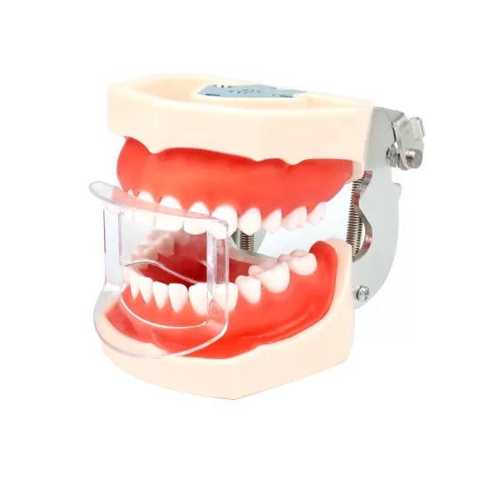 Dental Retractor(Anterior Teeth)