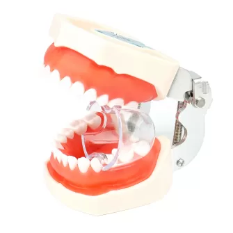 Dental Retractor(Posterior Teeth)