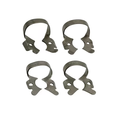 Clamp (Molar)