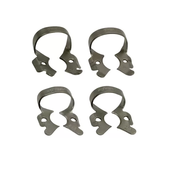 Clamp (Molar)