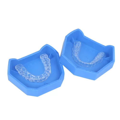 Tray Base