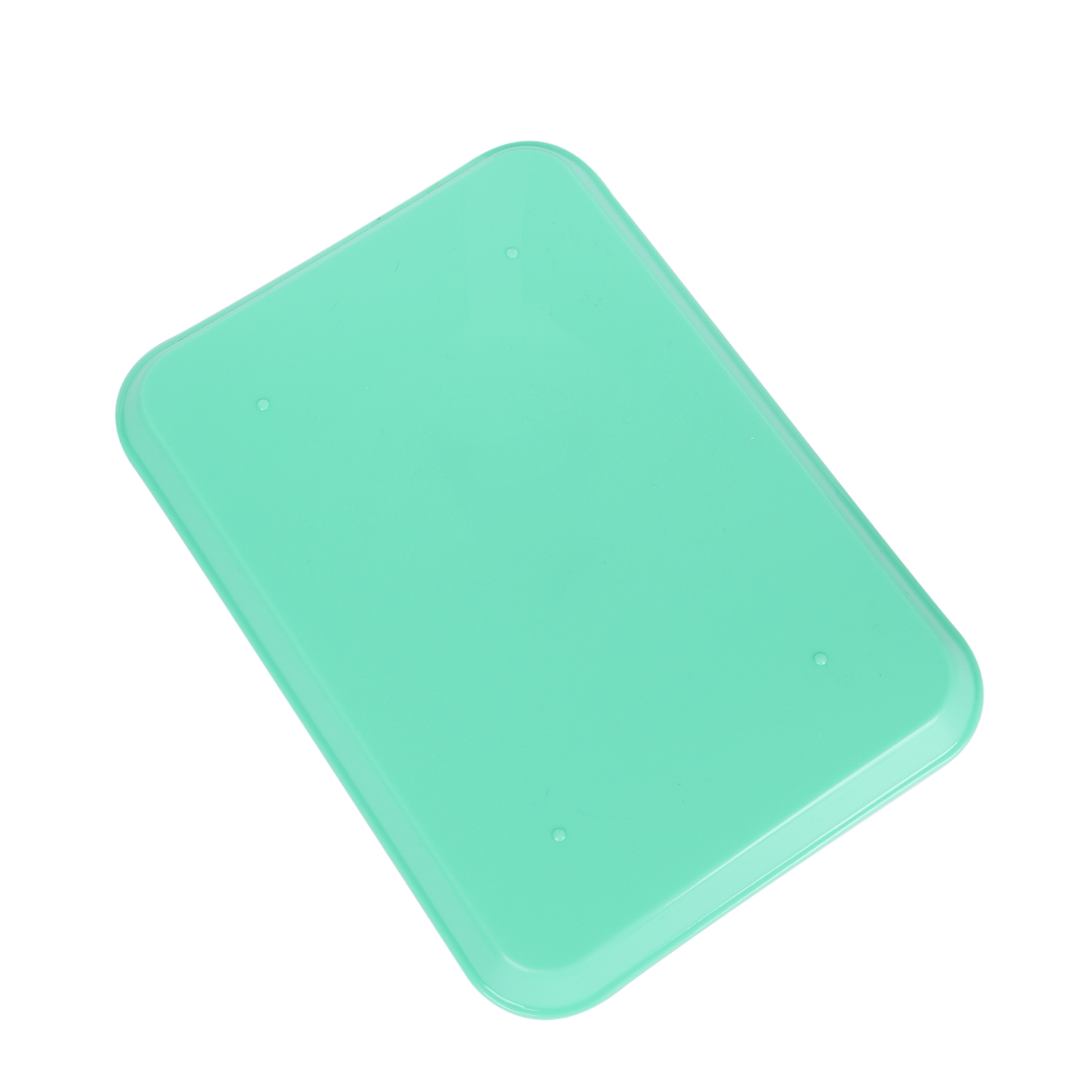 Autoclavable Plastic Tray