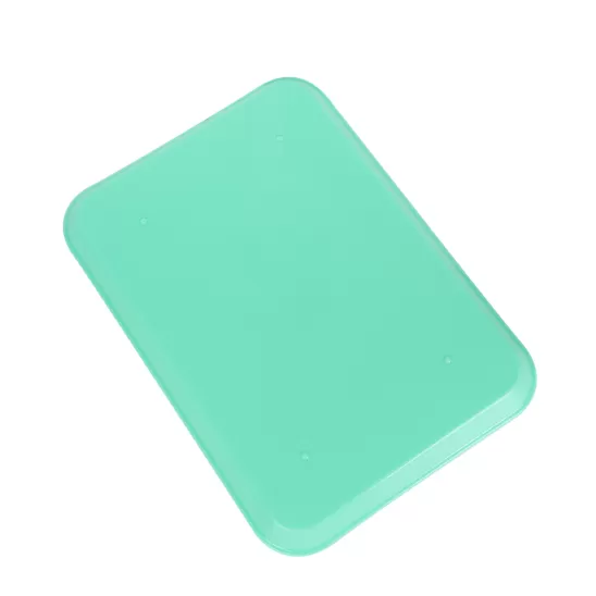 Autoclavable Plastic Tray