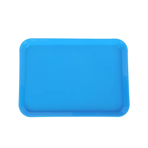 Autoclavable Plastic Tray