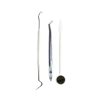 Disposable Dental Examination Kit (3in1)