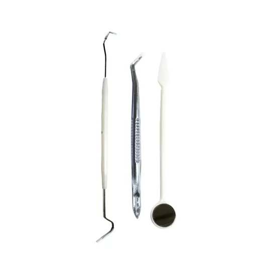 Disposable Dental Examination Kit (3in1)