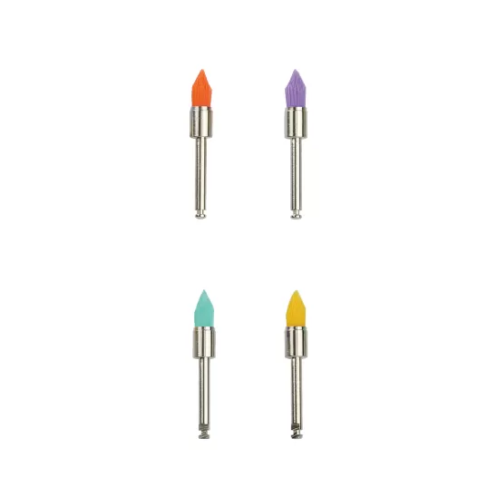 Prophy Brush(Tapered-shaped)