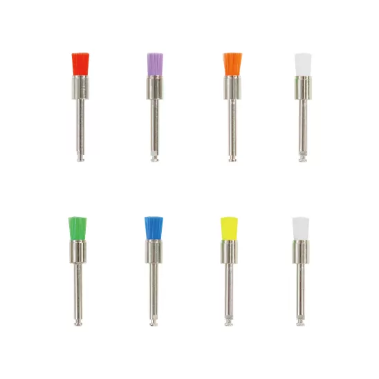 Prophy Brush(Flat-shaped)