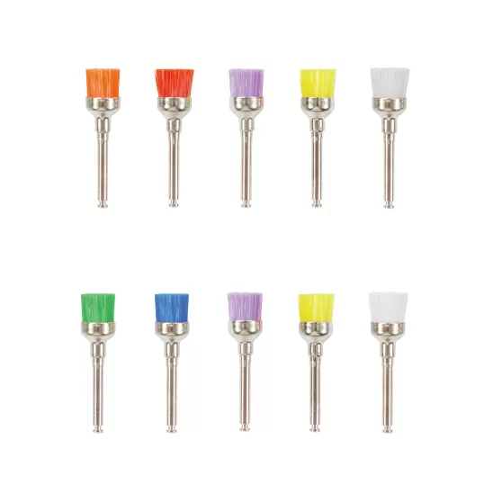 Prophy Brush(hard/soft)