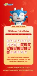 2026 Chinese New Year Holiday Notice